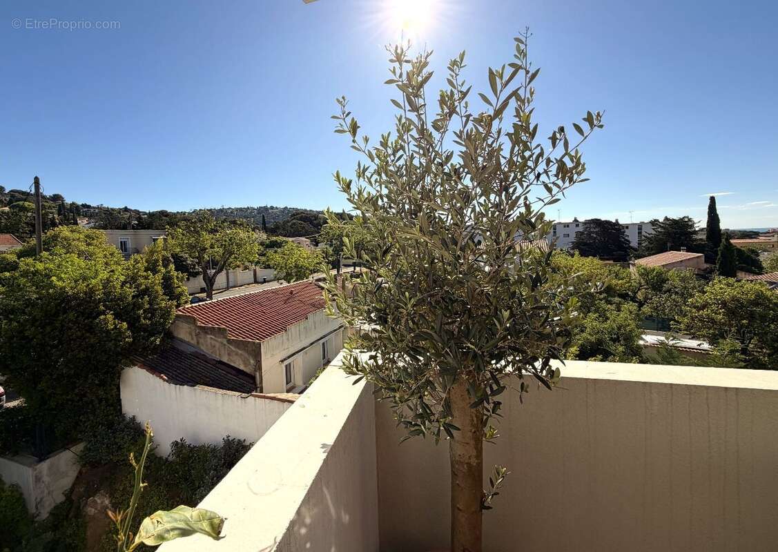 Appartement à SETE