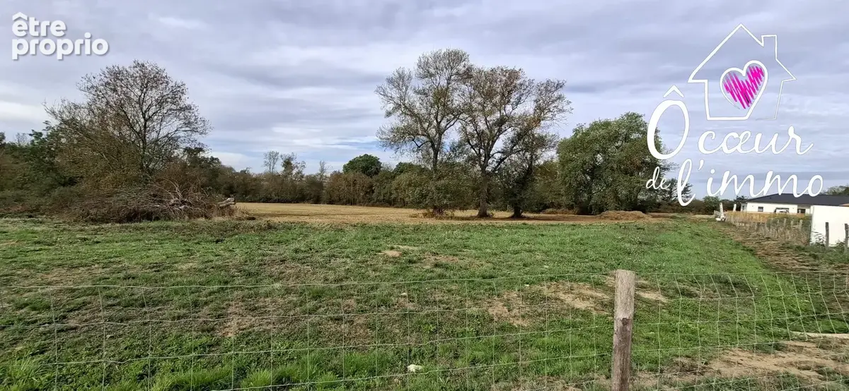 Maison 5 pièces 170 m² à vendre à Cholet (49300) - photo 5