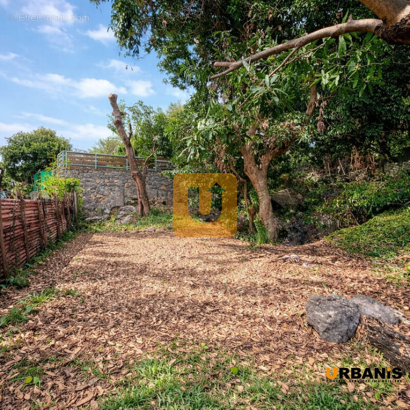 Terrain à SAINT-PAUL
