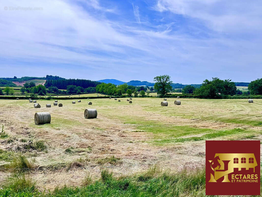Magnifique domaine 6,4 hectares + fermages - photo 6