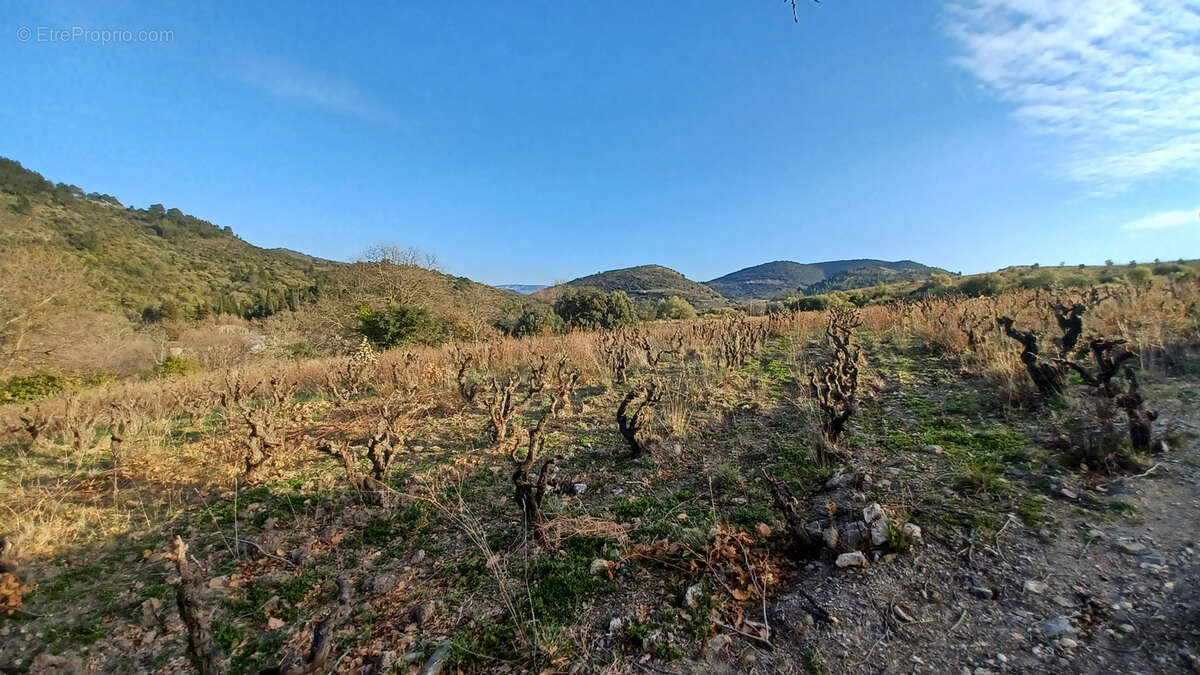 Terrain constructible de 706 m² - photo 5
