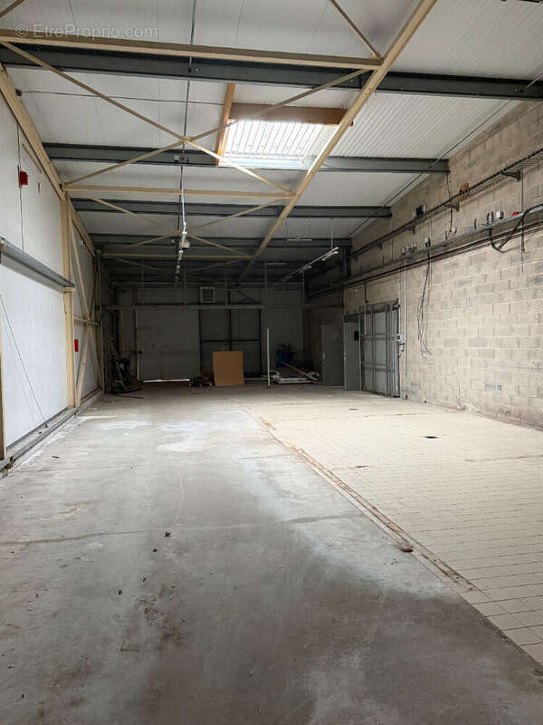 Local commercial A VENDRE 1690m² - Proche SAINT-JUNIEN - Terrain - photo 3