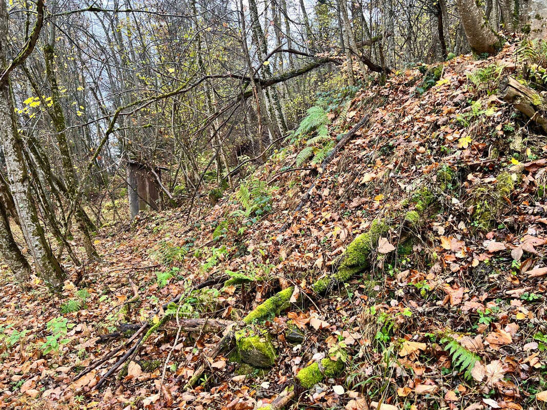 Autre à SAINT-REMY-DE-MAURIENNE