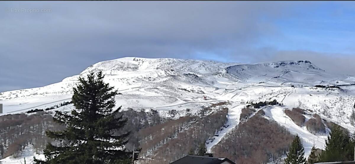 Appartement à BESSE-ET-SAINT-ANASTAISE