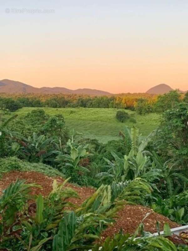 Maison à PETIT-BOURG