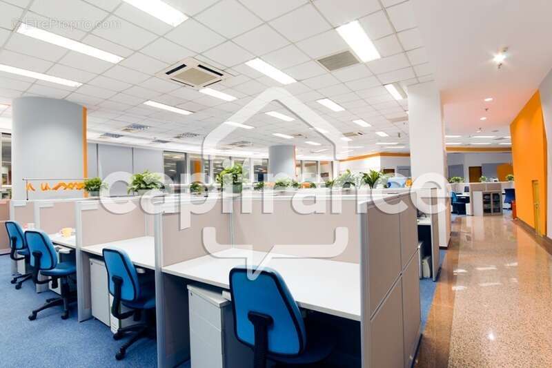 Commerce à SARLAT-LA-CANEDA