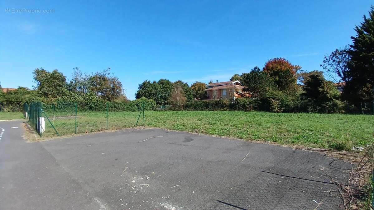 Terrain à DAX