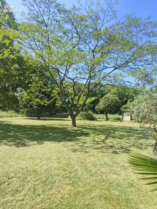 Ensemble Immobilier sur plus d'un hectare à SAINT ESTEPHE - photo 7