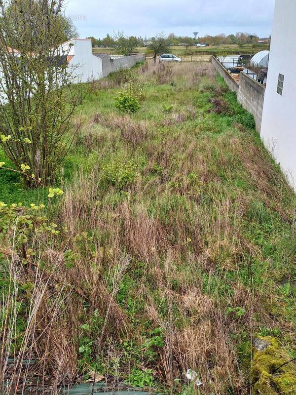 Photo 1 - Terrain à LA TRANCHE-SUR-MER