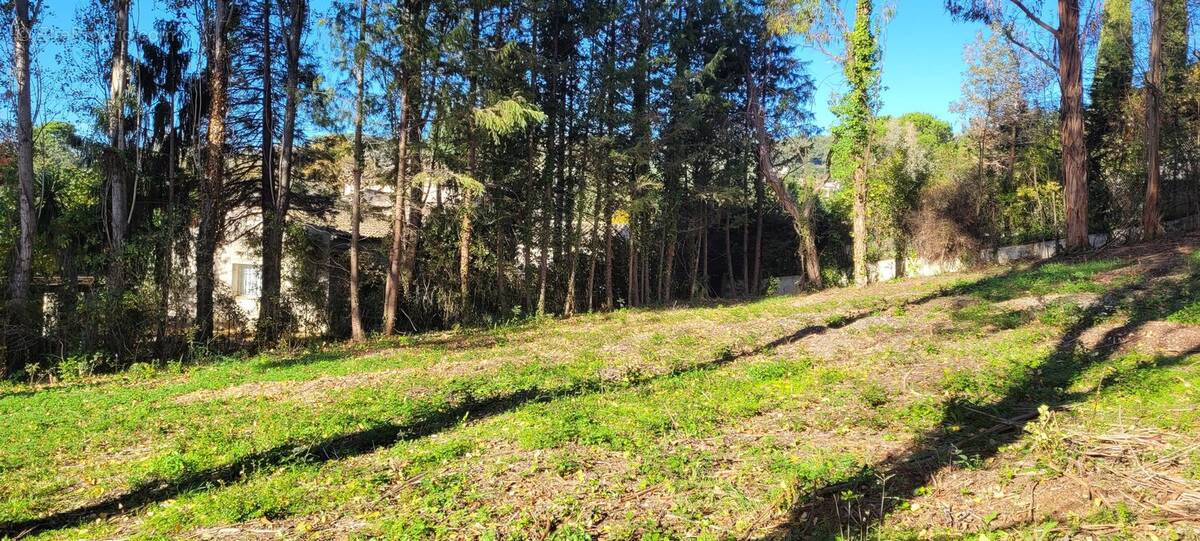 Photo 1 - Terrain à SAINT-PAUL