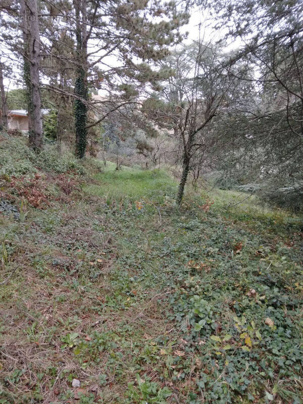 Terrain à SAINT-PERAY