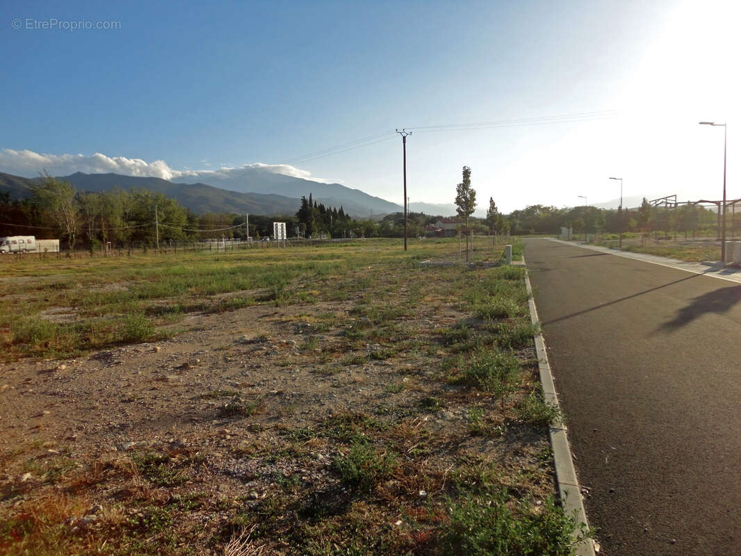 Dpt Pyrénées Orientales (66), à vendre ILLE SUR TET terrain constructible 9600m², plat, vaibilisé - photo 3