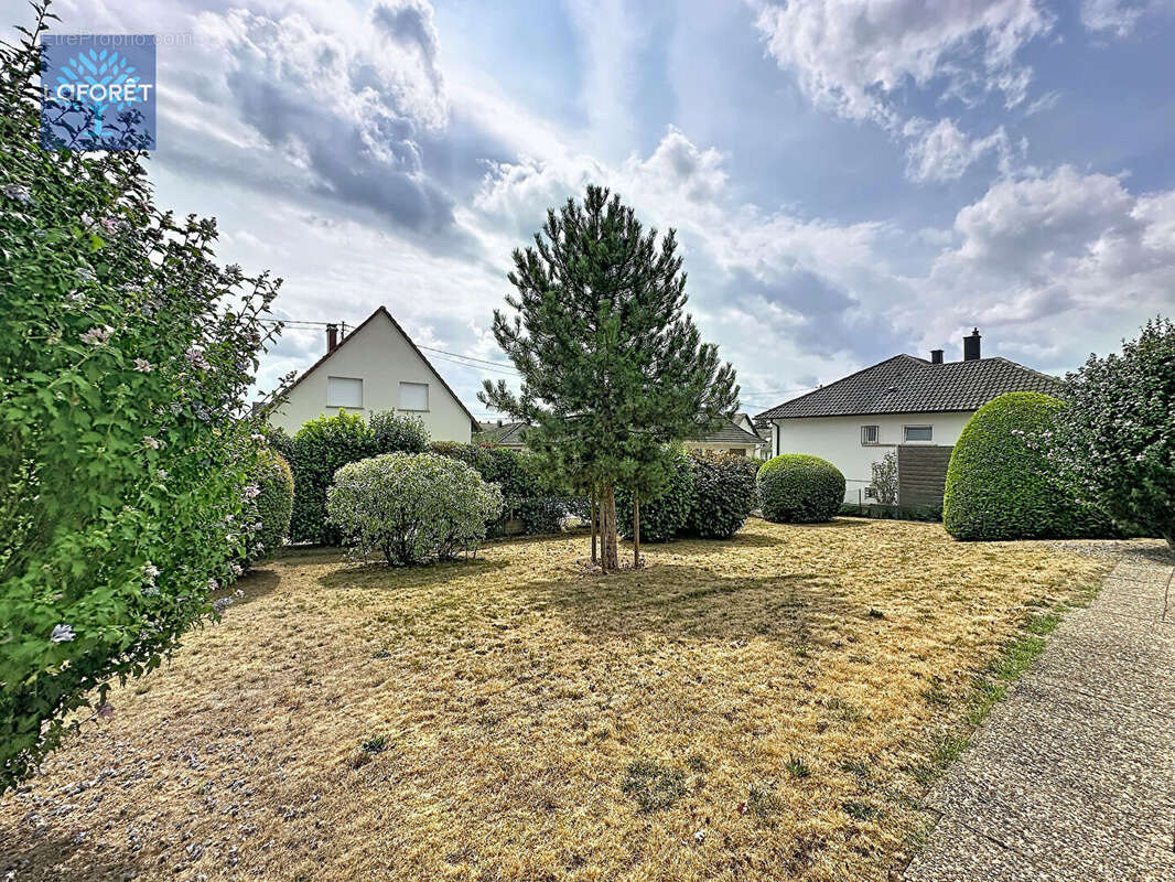Maison Lampertheim 4 pièce(s) 102 m2 - photo 3