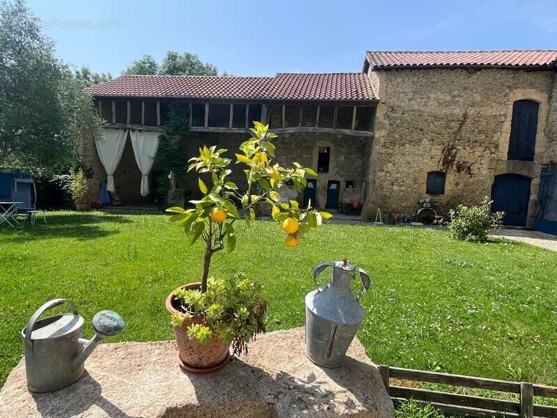 PLAISANCE DU GERS 10 min: ELEGANTE MAISON DE CARACTERE, restaurée par architecte, 320m2, 4700m2 en partie clos - photo 3