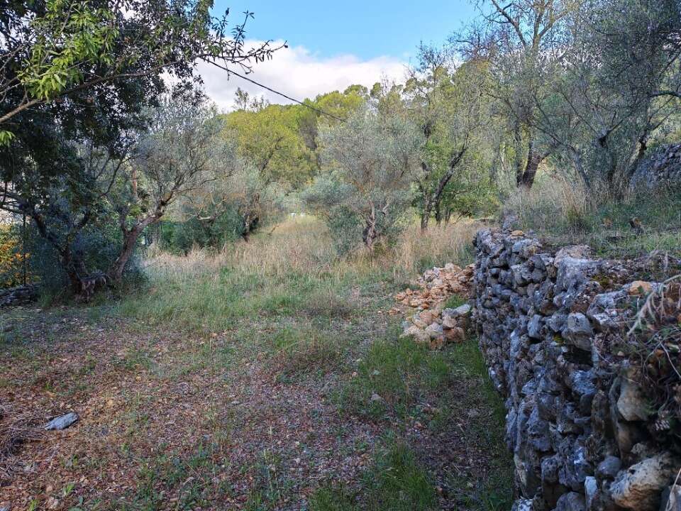 Terrain 1005 m² à Carnoules  - photo 4