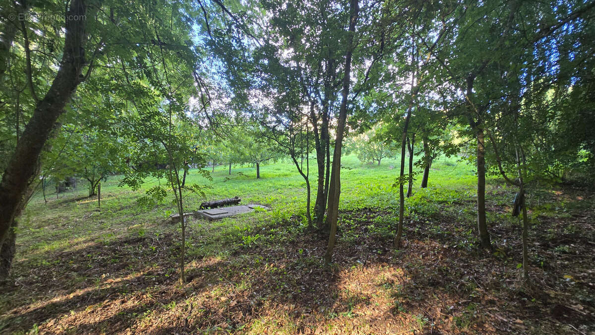 Terrain à MONDONVILLE