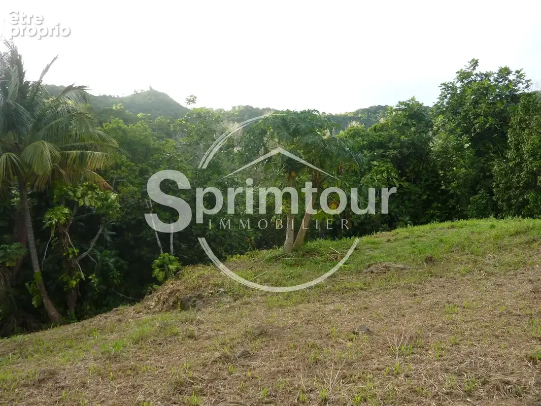 GOURBEYRE Terrain de 1200m2 - photo 3