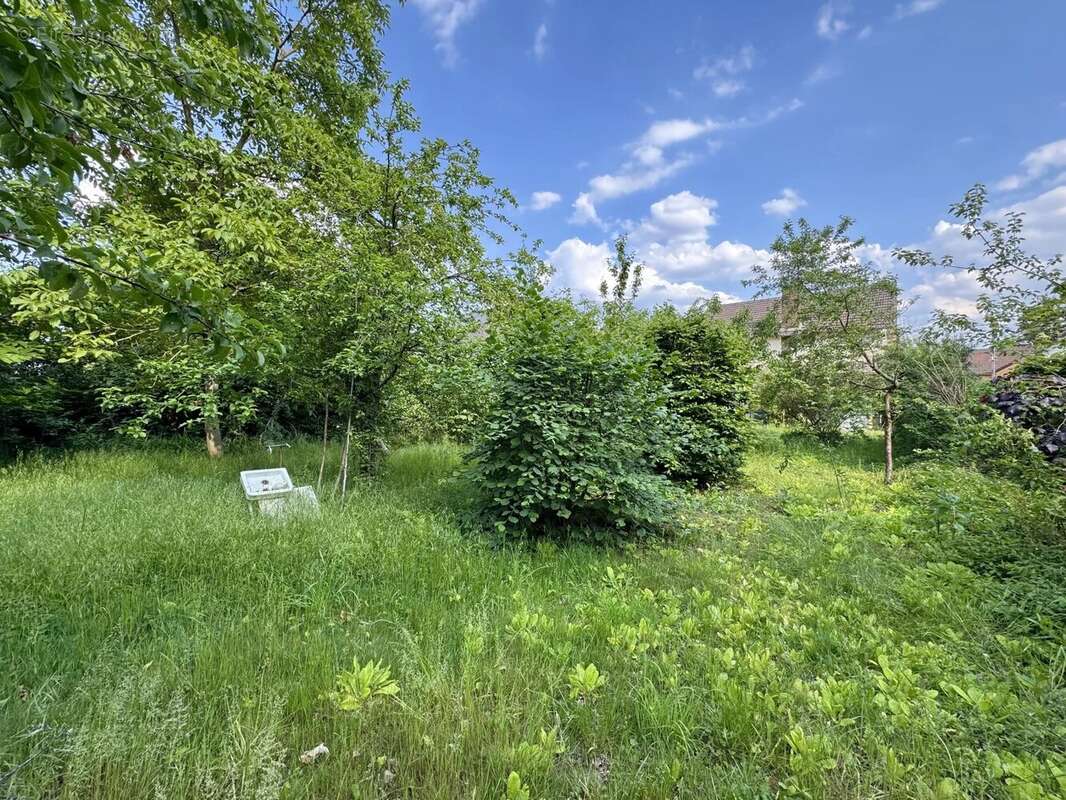 Maison à VERRIERES-LE-BUISSON