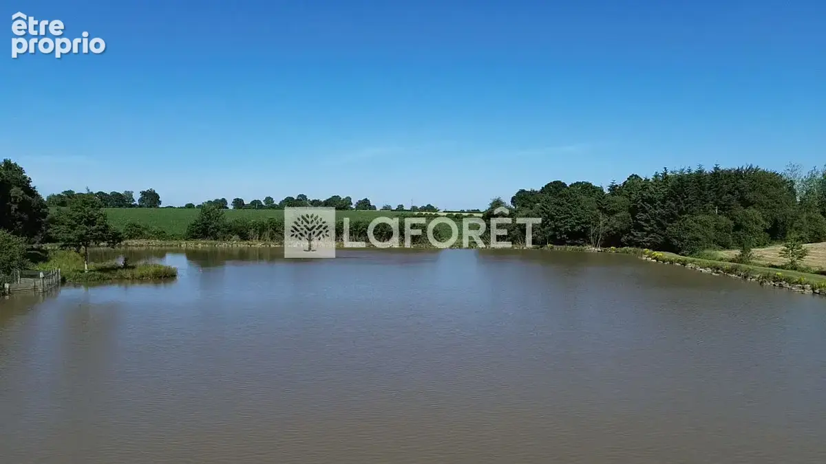 Étang 2 Hectares avec chalet, bois et dépendances BRIOUZE - Normandie - photo 2
