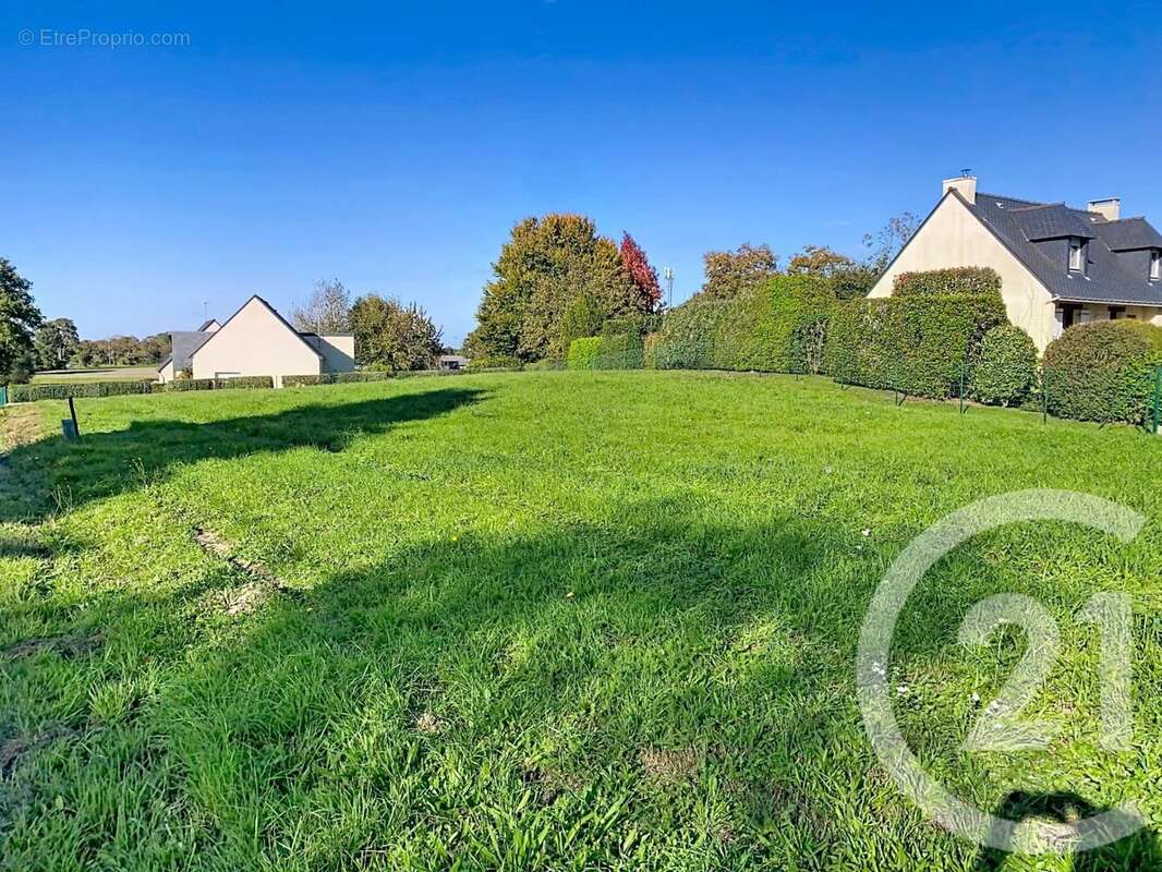Terrain à ALLAIRE
