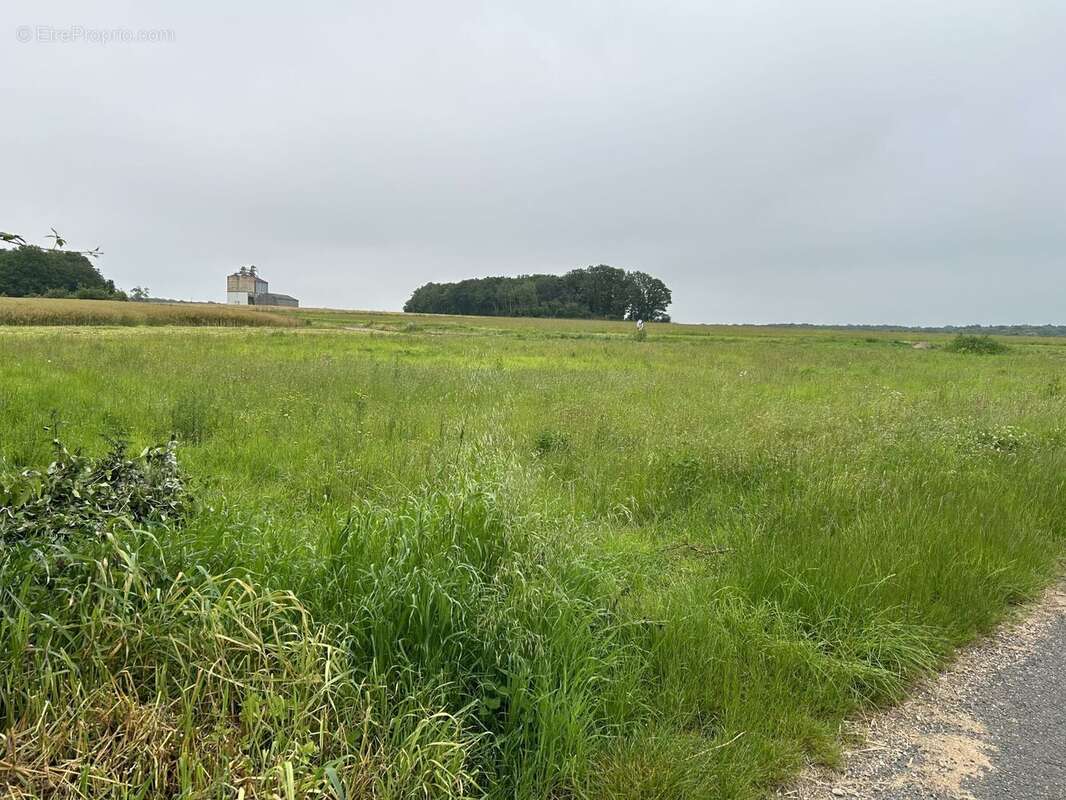 Terrain à SAINT-ARNOULT-DES-BOIS