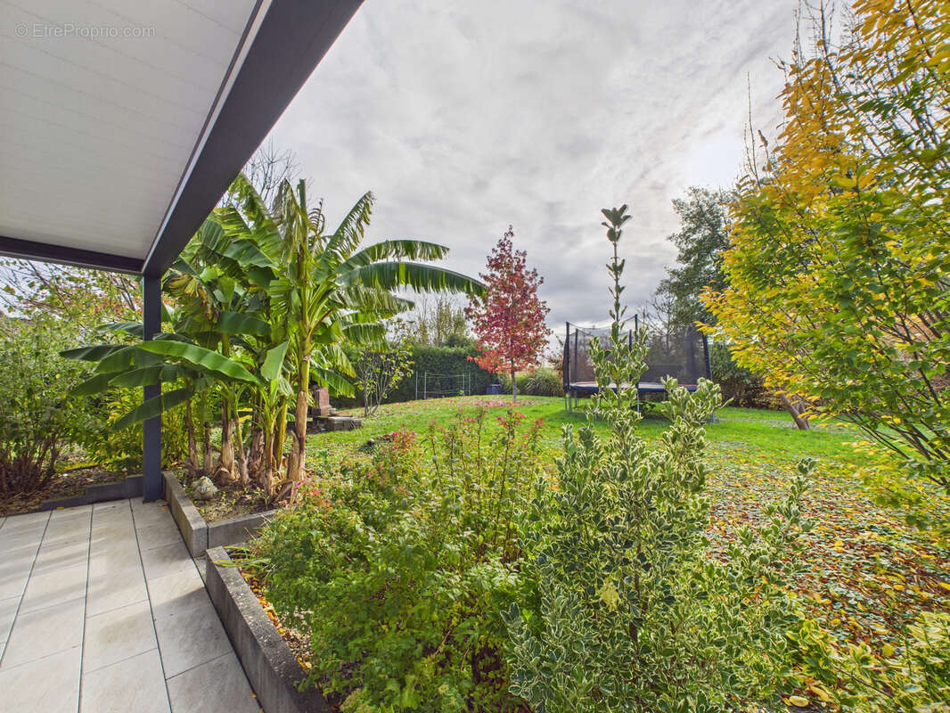 Maison à HELFRANTZKIRCH