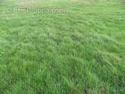 Terrain à AMPONVILLE