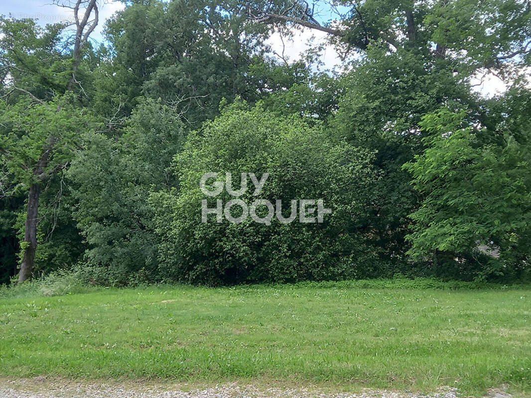 Terrain à MONTCARET