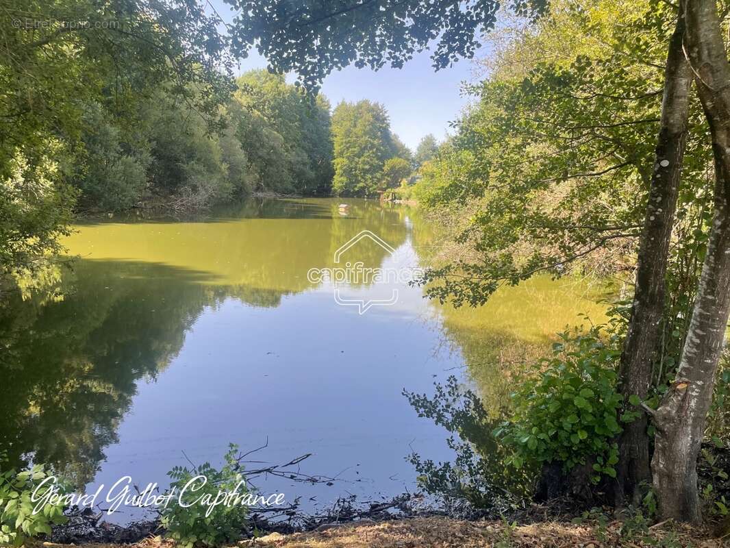 Étang à vendre - photo 2