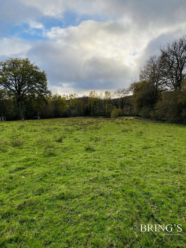 Terrain à VILLAINES-LA-CARELLE
