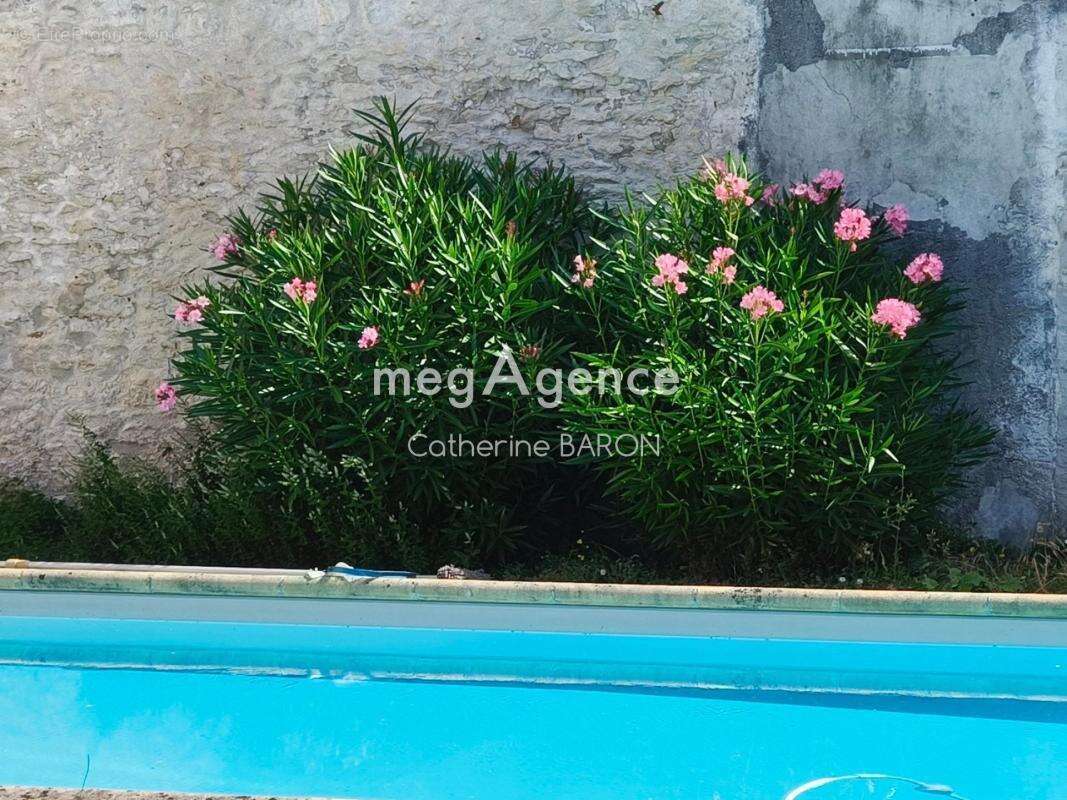 COGNAC – Maison de 175 m²  4 chambres  Piscine  Garage  Grenier aménageable - photo 3