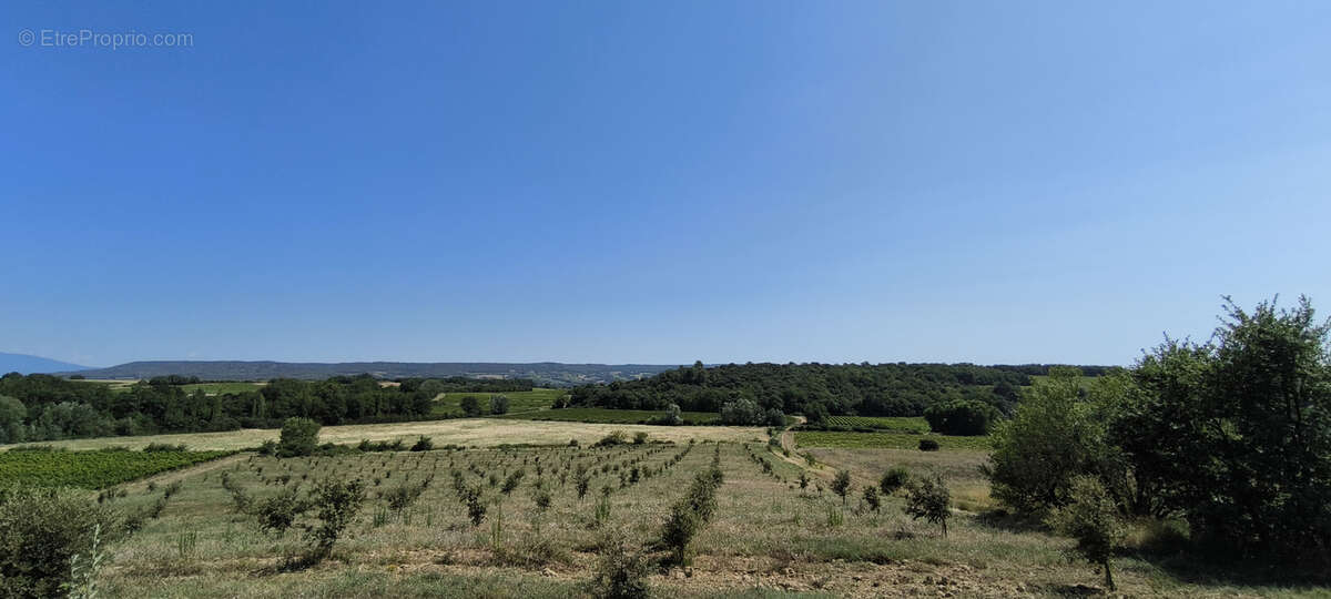 Maison et domaine viticole sur 57 hectares - vignes en aop - photo 4