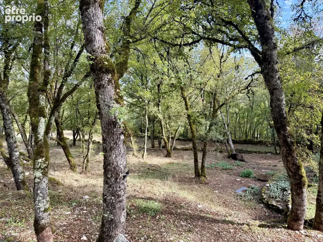 Propriété d' exception sur plus de 9 hectares . - photo 26