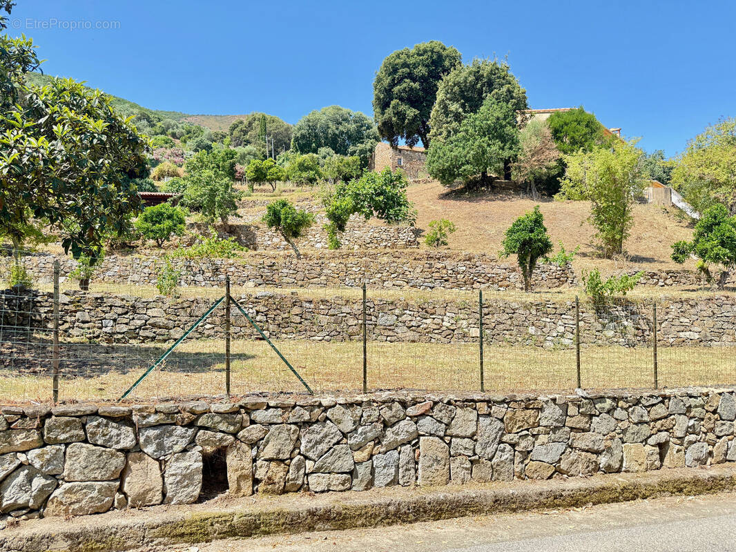 Terrain à ALATA