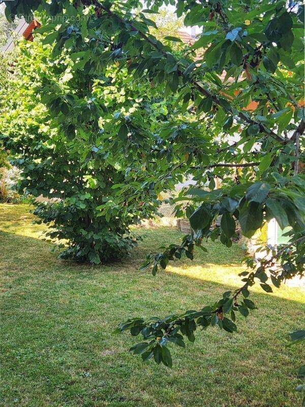 Appartement à ANNEMASSE
