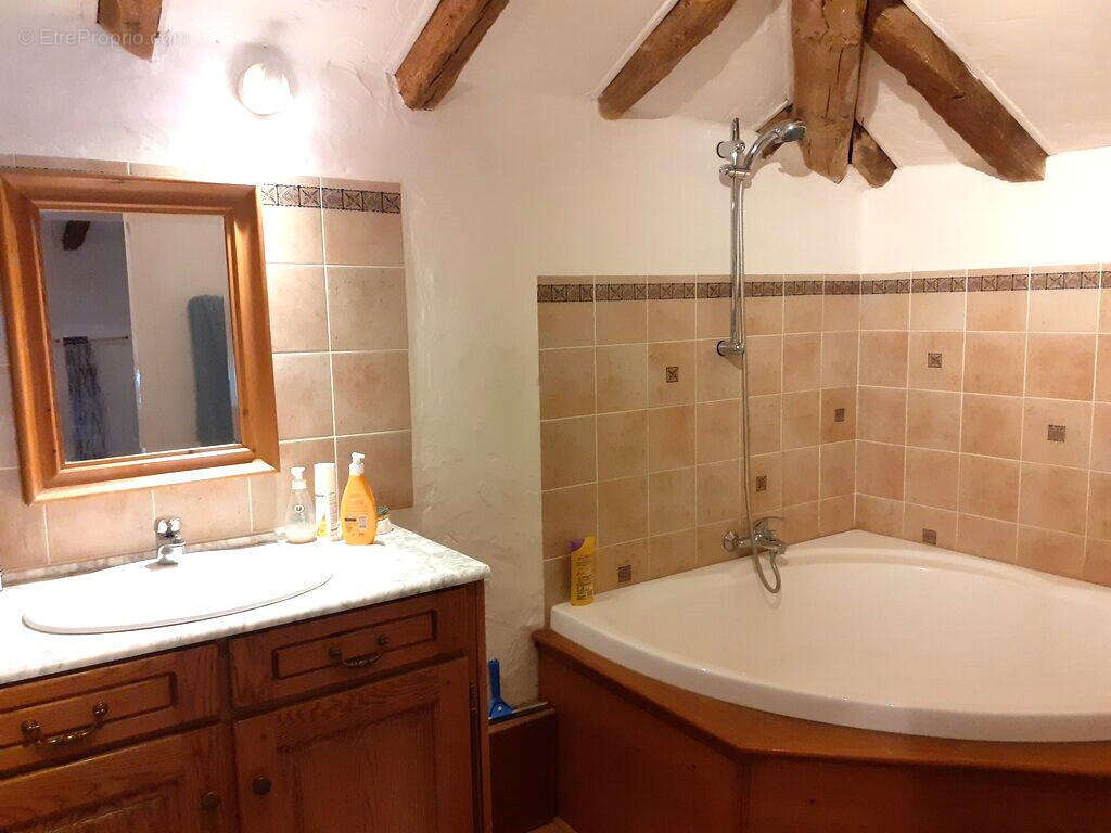 SDB - Maison à ASNIERES-SUR-BLOUR