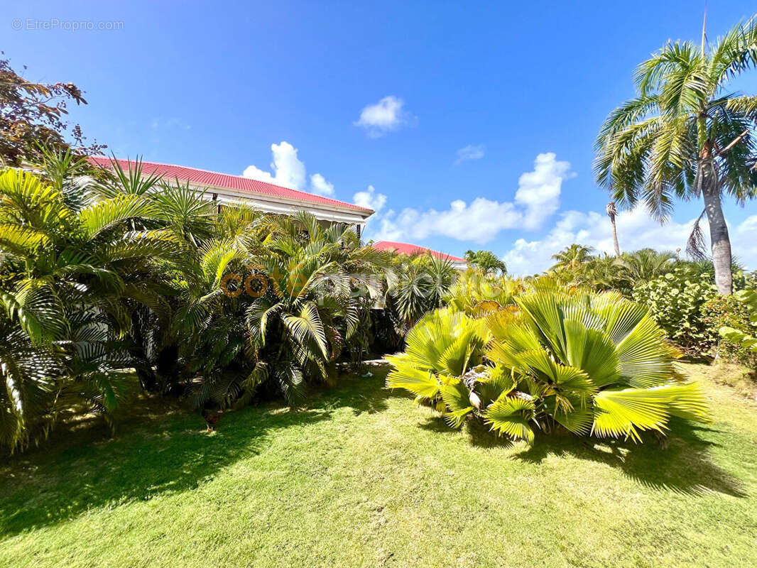 Appartement à SAINT-FRANCOIS