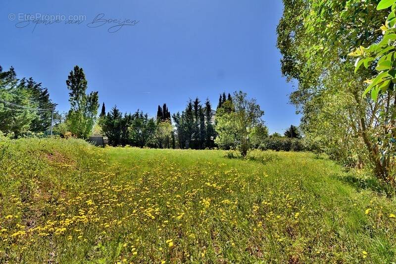 Terrain de 1 423 m² à viabiliser à EGUILLES (13) - photo 1