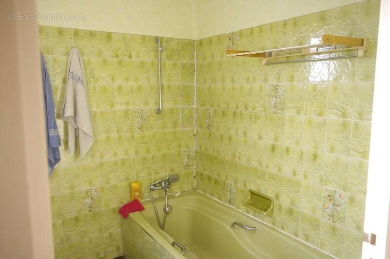Propriété  6 pièces + dépendances sur 19 HA de terrain à vendre LAGRAULET DU GERS - photo 15
