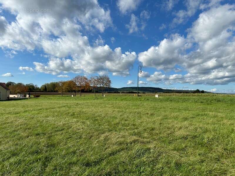 Terrain à VITTEAUX
