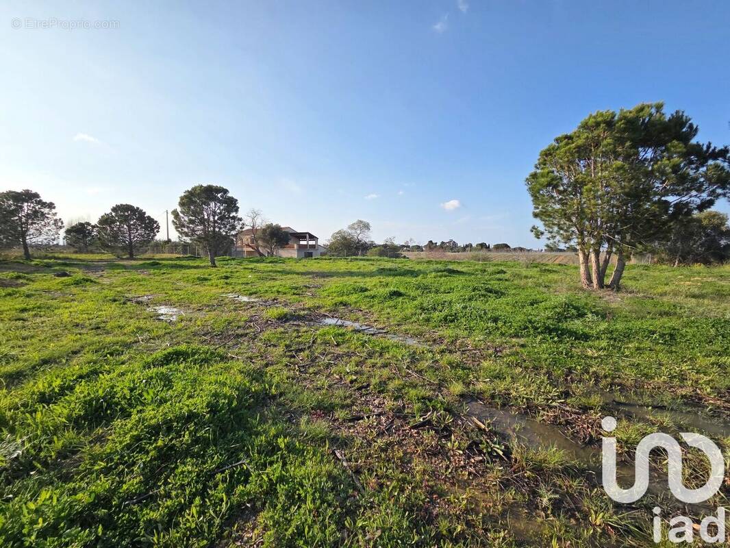 Photo 1 - Terrain à PERPIGNAN