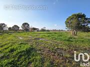 Photo 1 - Terrain à PERPIGNAN