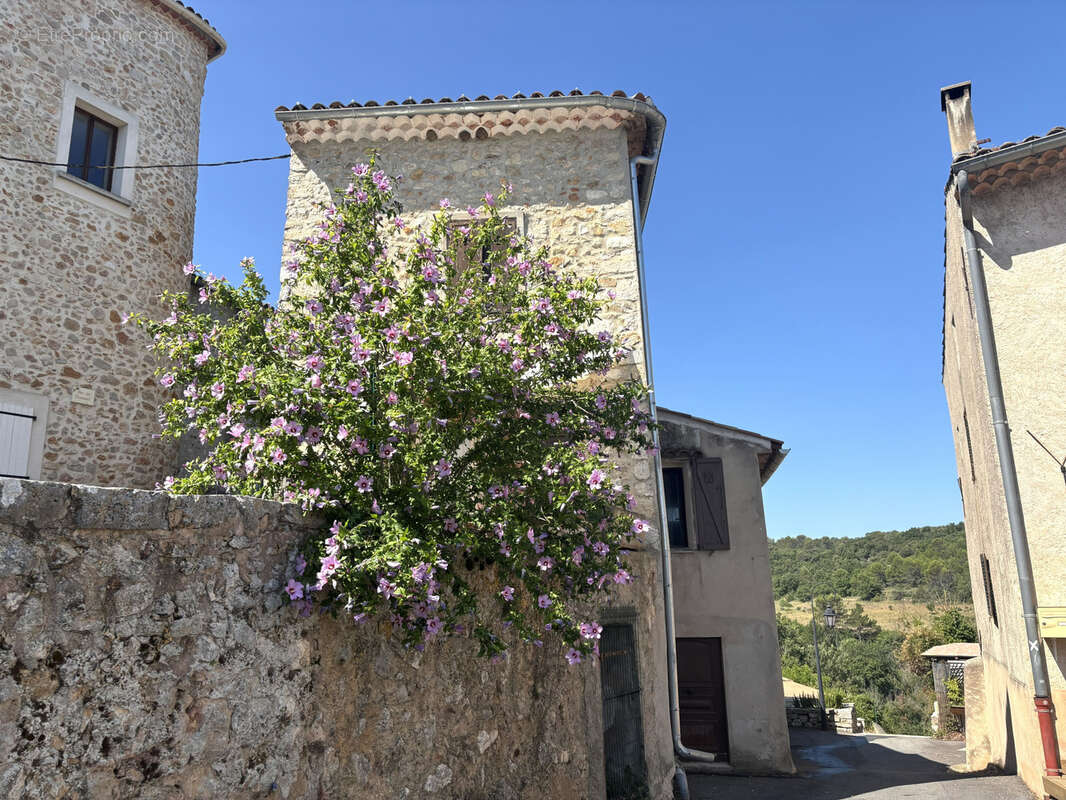 Grande maison de village avec garages et caves - photo 8