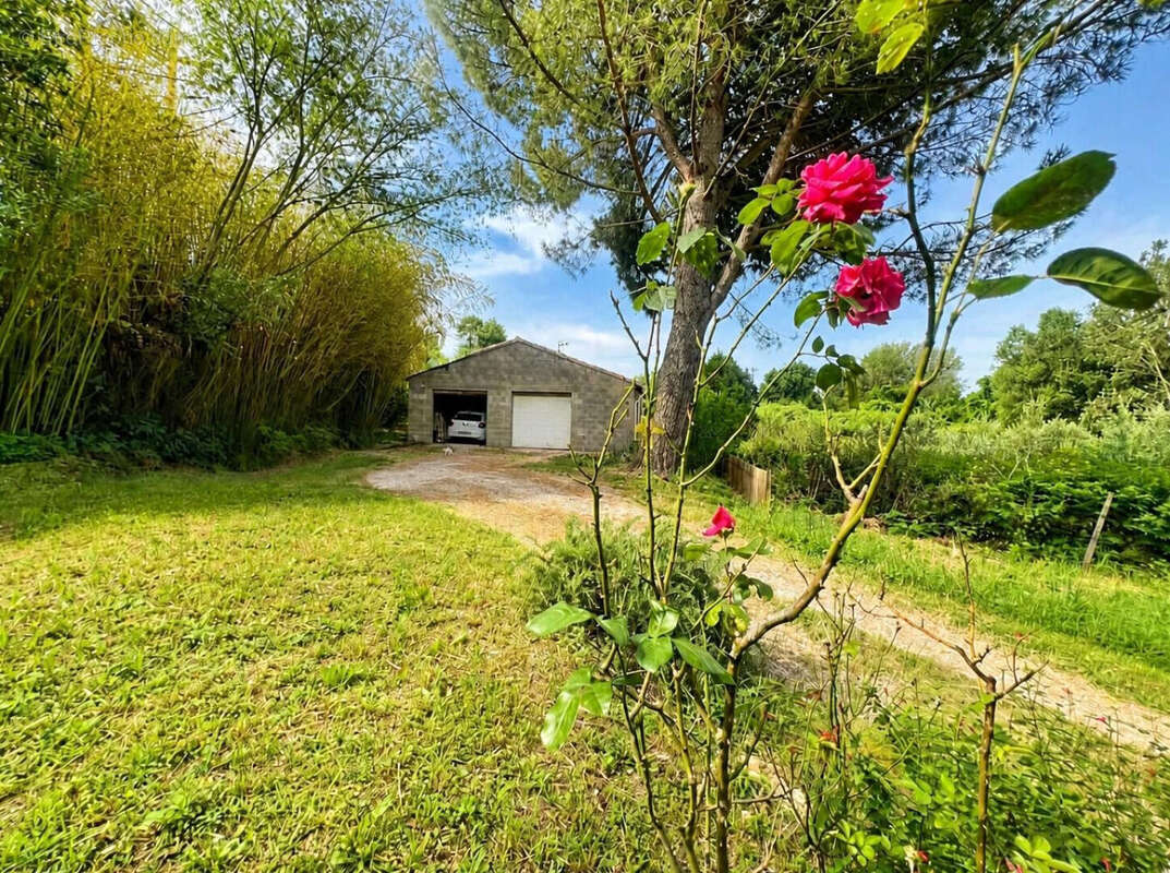 Maison à MONTFRIN
