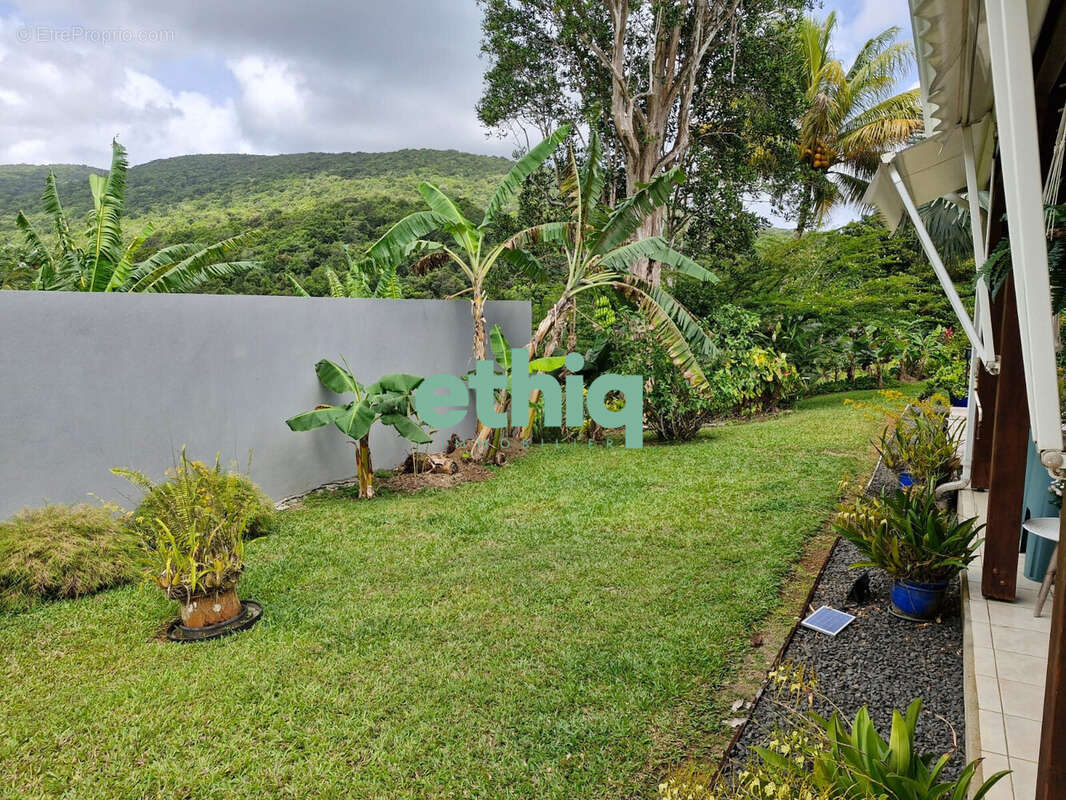 Maison à SAINTE-ROSE