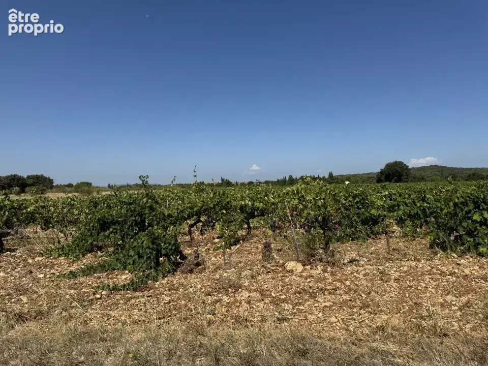 Terrain 450 m² à vendre à Serignan-Du-Comtat (84830) - photo 2