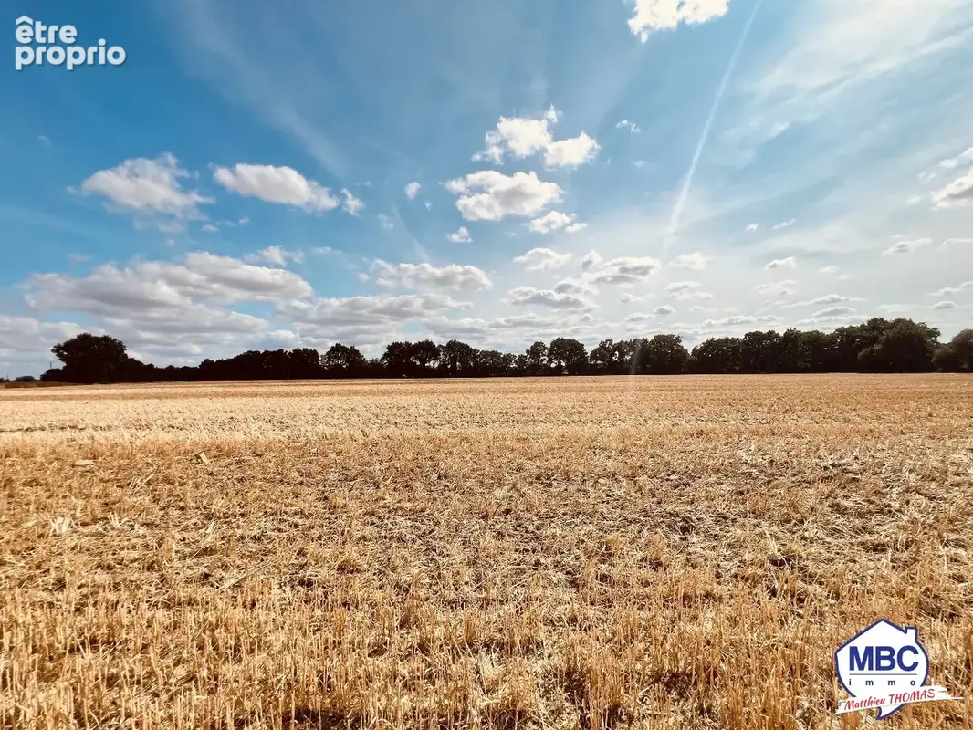 Maison de plain-pied en pleine campagne - photo 10