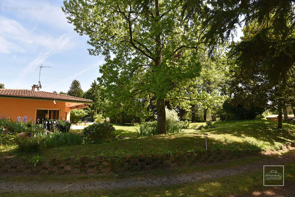 Maison à SAINT-CYR-AU-MONT-D'OR