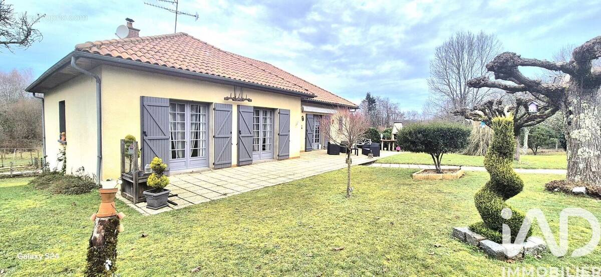 Photo 1 - Maison à LE PALAIS-SUR-VIENNE