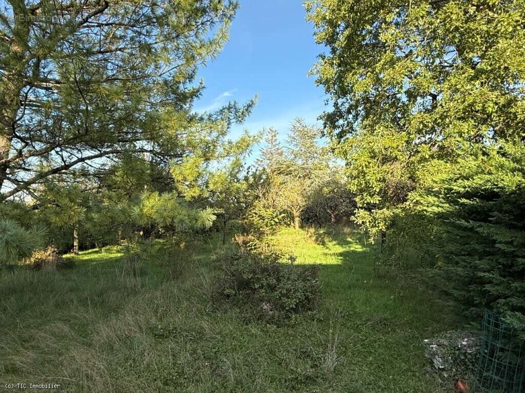 Maison à VERTEUIL-SUR-CHARENTE